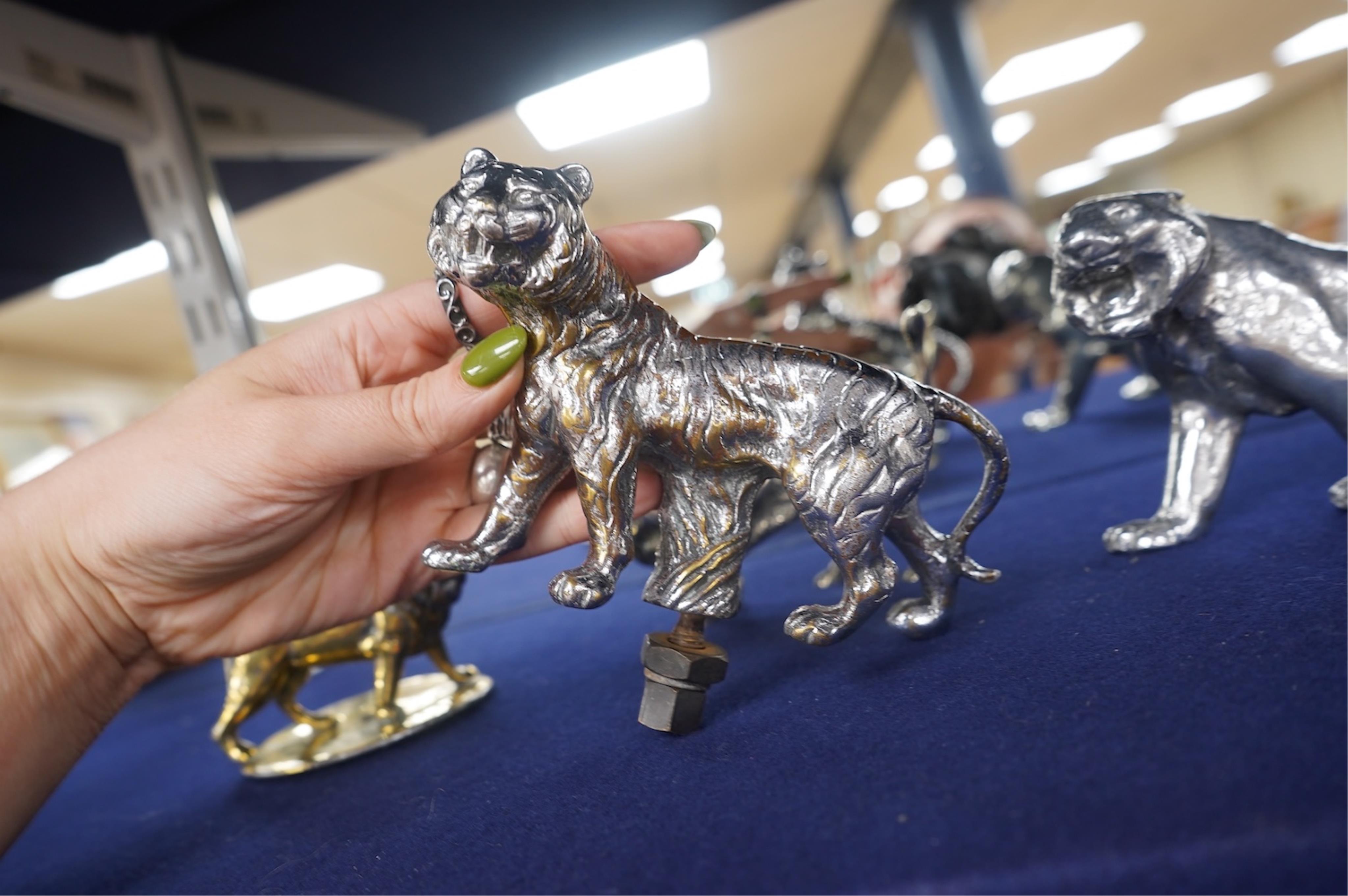 Four lion and big cat related brass and chrome car mascots/figures, consisting of two lions, a tiger and another, possibly a panther. Condition - fair, some losses to chrome.